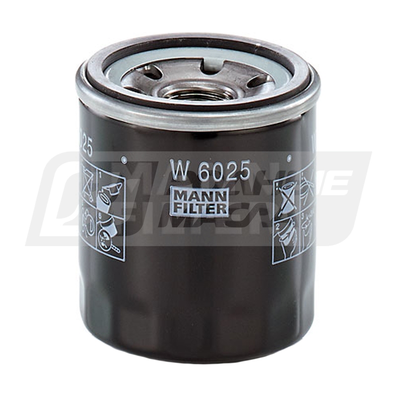 MANN W 6025 (Renault 152009645R, Lada 152085758R) W6025